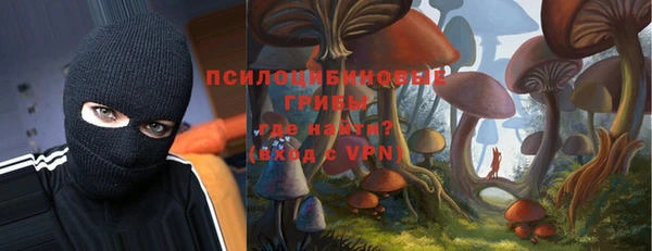 ECSTASY Горнозаводск