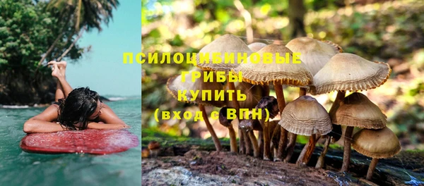 спиды Горно-Алтайск