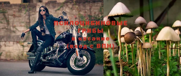 гидропоника Горняк