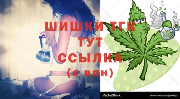ECSTASY Горнозаводск