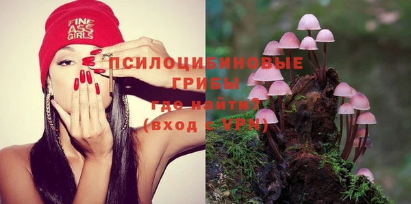 спиды Горно-Алтайск