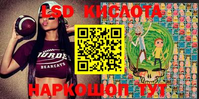 индика Волжский
