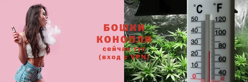 mega ТОР  купить наркотики сайты  Дзержинский  Бошки марихуана SATIVA & INDICA 