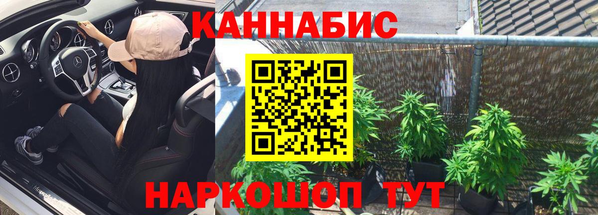 Шишки марихуана конопля Дзержинский